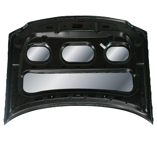 1998-02 Expedition Hood